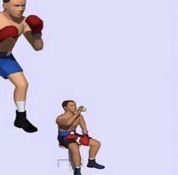 Sarcastic Boxer Dog Gas Meme PETRAGE
