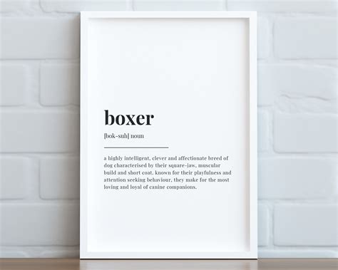 Boxer Old Meaning