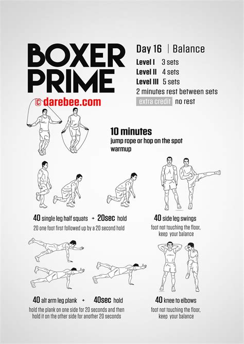 Boxer Workout Plan For Beginners