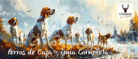 Box para perros modular 201x134x174cm