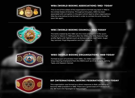 Boxing Different Belts