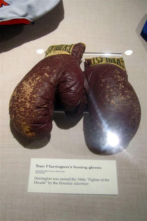 Boxing Gloves Honolulu