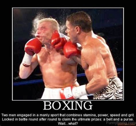 Boxing Memes