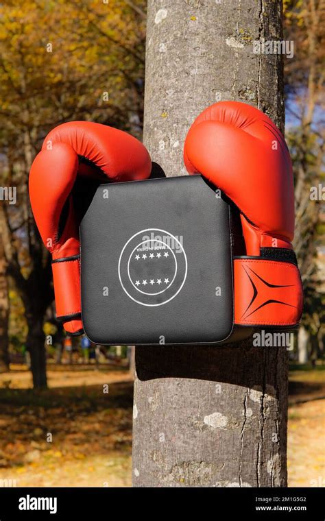 Boxing Pad For Tree