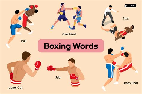 Boxing Up Meaning
