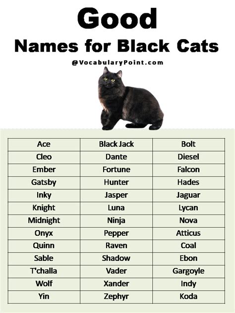 boy cat names for black cats