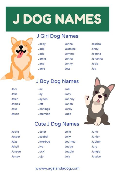 Boy Dog J Names