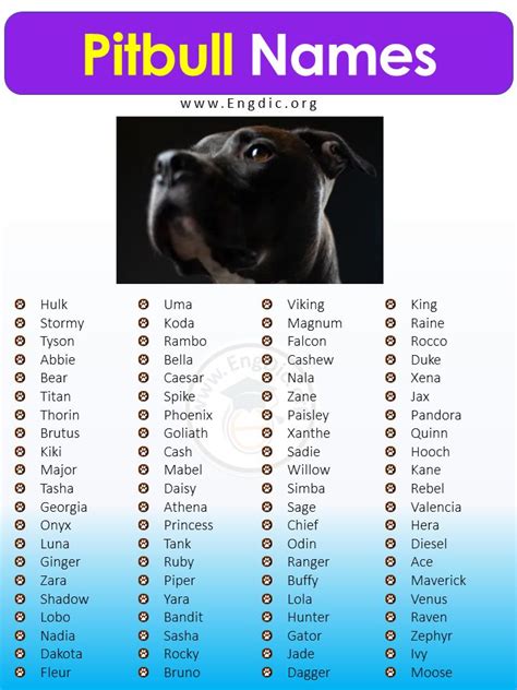 boy dog names for red nose pitbulls