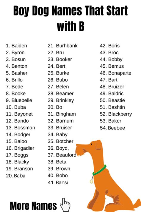 boy dog names starting with b