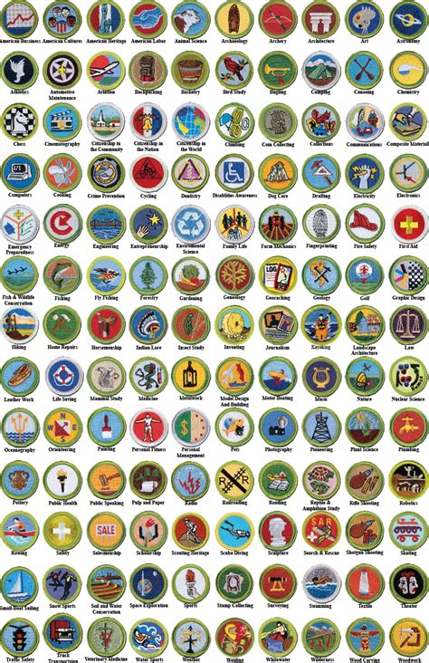 boy scout merit badges 2022