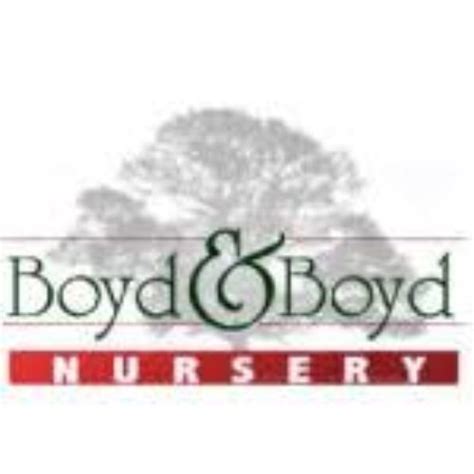 Articles Boyd & Boyd Nursery New