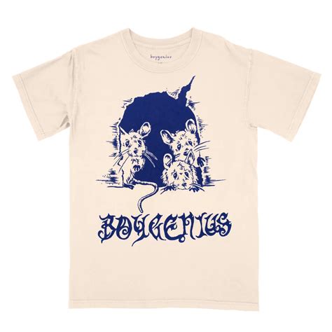 Boygenius Official Merch