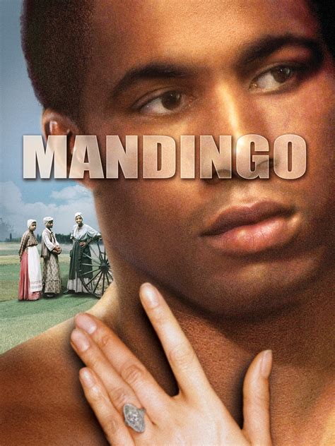 boz vs  mandingo 3