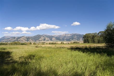 bozeman half marathon 2024