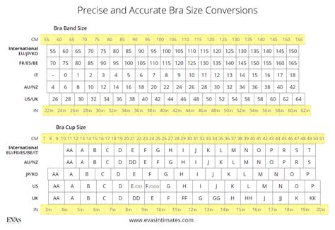 bra cup size chart conversion