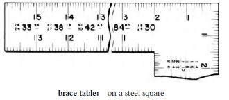 Brace Scale Image