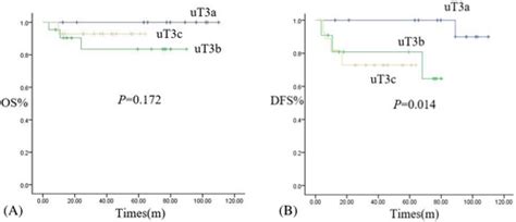 brady duddy rectal liu