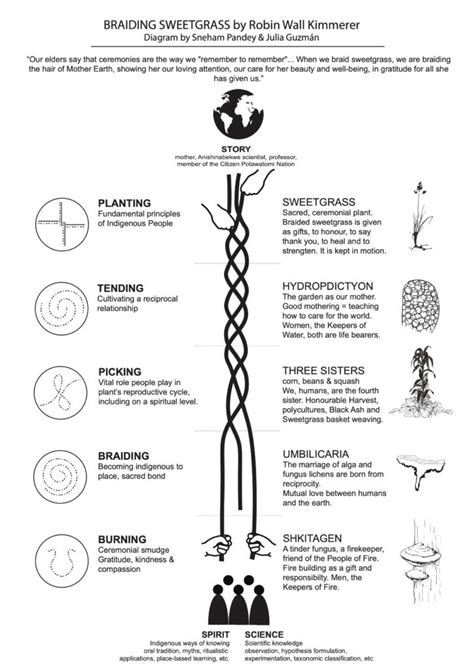braiding sweetgrass summary by chapter