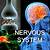 brain nervous system disorders symptoms