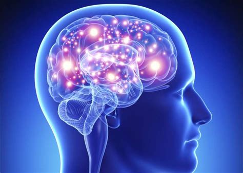 brain & mind games: 2048 quiz