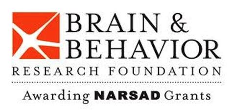 brain and behavior research foundation grant