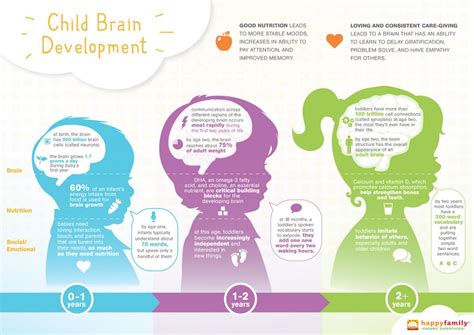 brain development stages by age