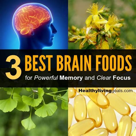 Boost Your Brainpower: Top Brain Food Supplements for Enhanced Focus and Mental Clarity