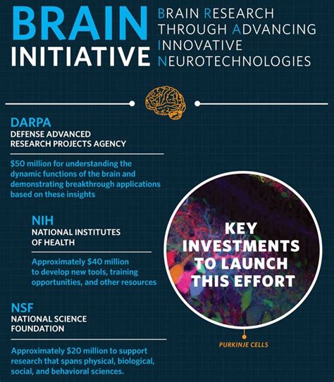brain initiative funding opportunities