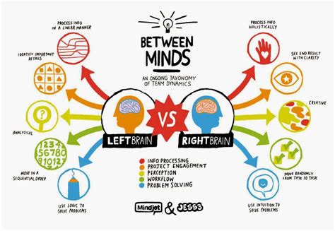 Left and Right Brain Hemispheres