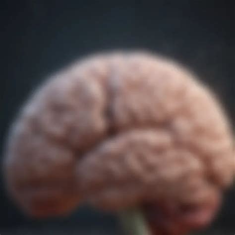 brain shrinkage causes