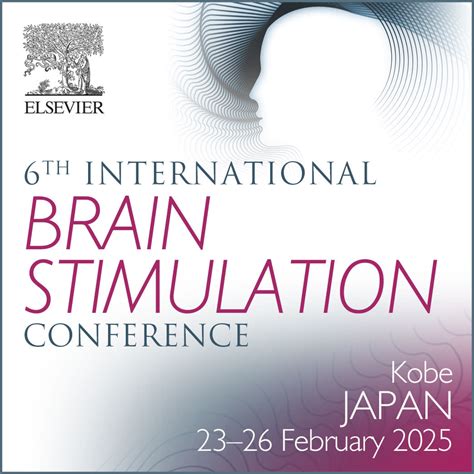 brain stimulation conference 2024