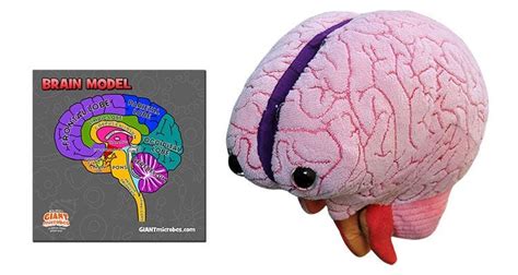 brain stuffed animal