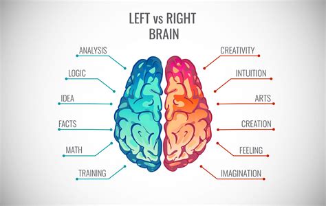 brain thinking diagram