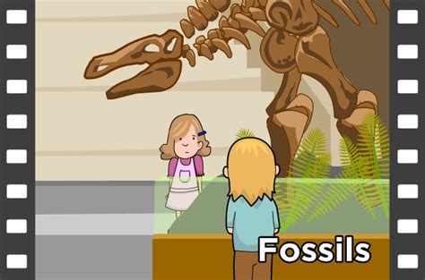 Brainpop On Fossils