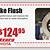 brake fluid flush coupon