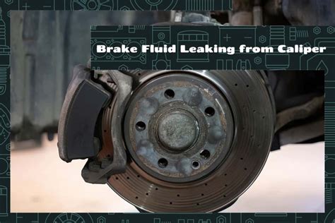 Brake Caliper Leaking Fluid When Compressed Full Collection Leaks #d84