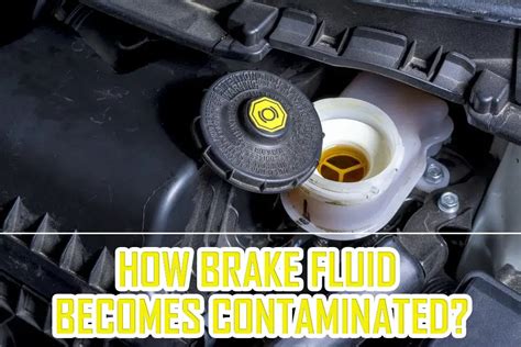 Brake Fluid System Contaminated