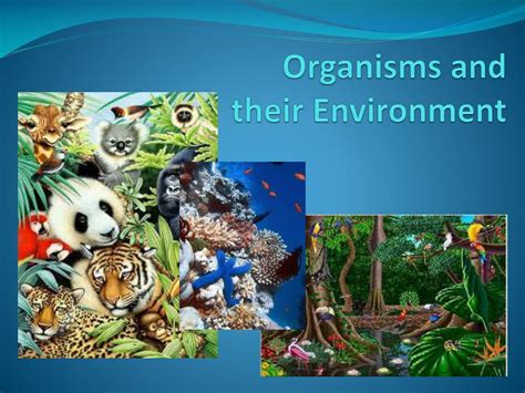 branch of science dealing with organisms and their environment
