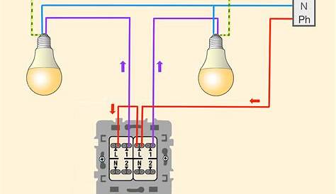 Branchement 1 Interrupteur 2 Lampes Prises.png