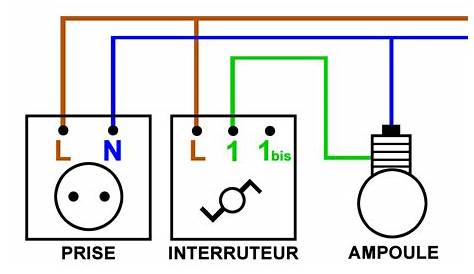 Branchement Prise Plus Interrupteur Conseils Électricité électrique