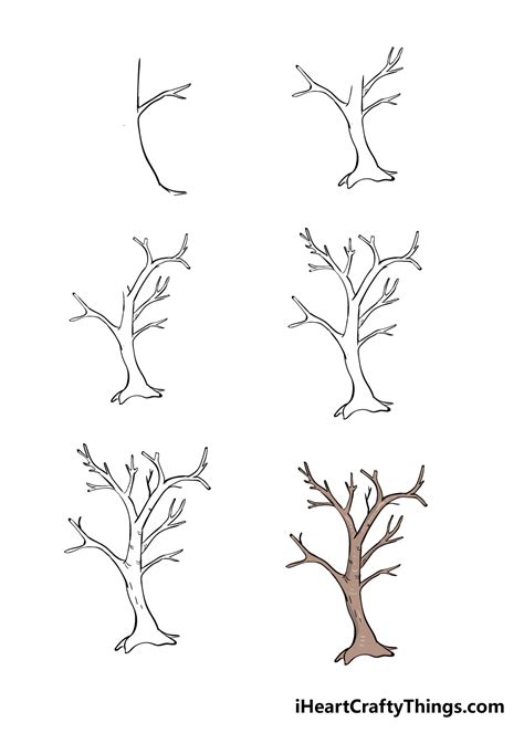 Branches Drawing Easy