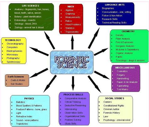 branches of forensic science chart