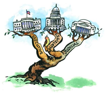 branches of government cartoon
