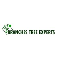Branches Tree Experts