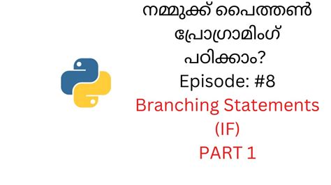 branching statements in python in hindi