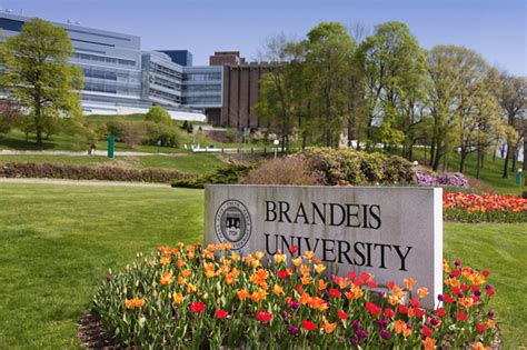 brandeis university us news