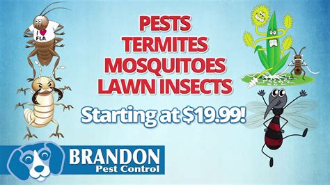 brandon pest control services