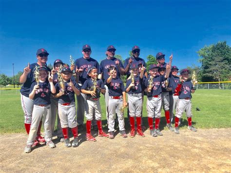 brantford minor baseball association