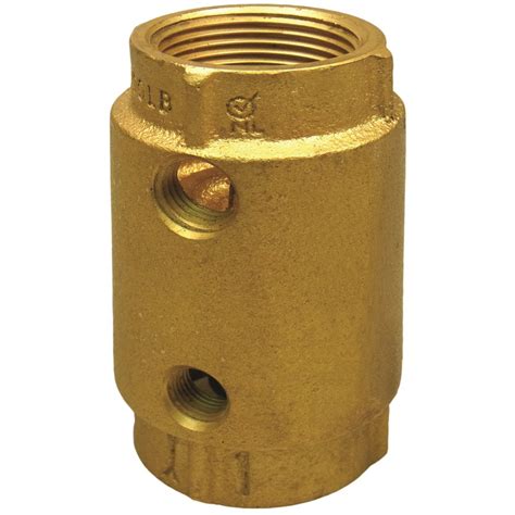 brass check valve for well pump