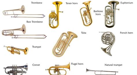 Brass Instruments In The Orchestra Highest To Lowest